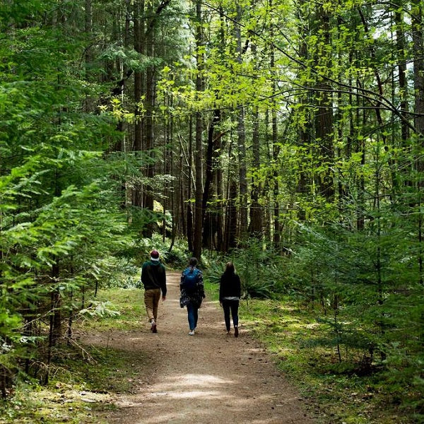 Welcome To Wanderings - Journals & Journeys