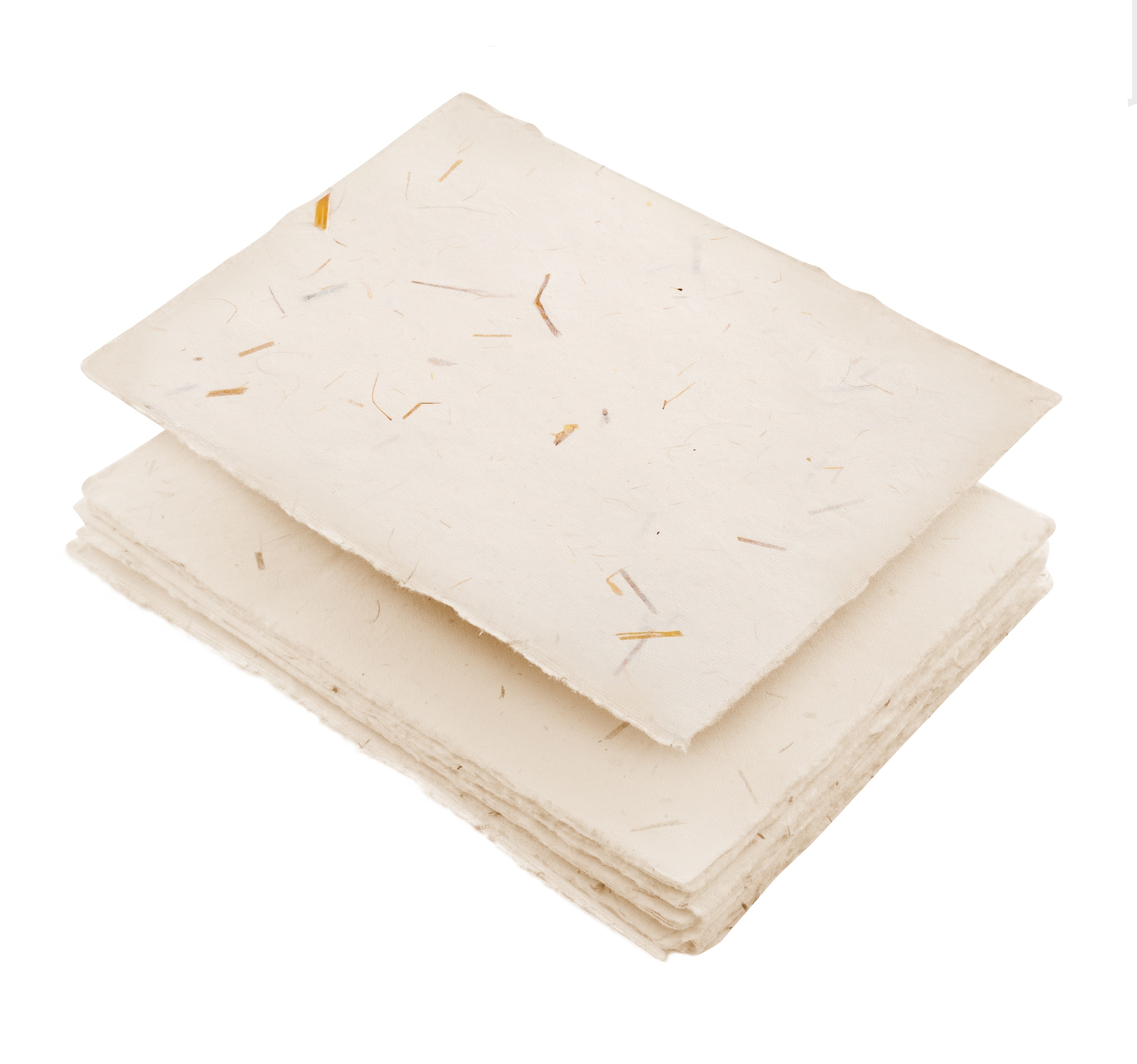 「PAPER IN DESIGN」 Emerald City Yellow Brick Glinda Wicked Witch Watercolor